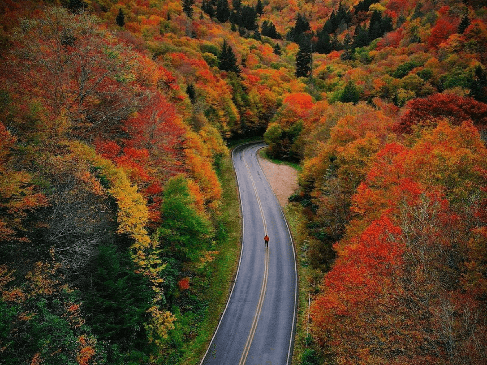 Blue Ridge Parkway drive colored in fall colors and autumn leafs
